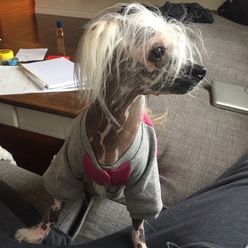 Meet your Posher, Jayne